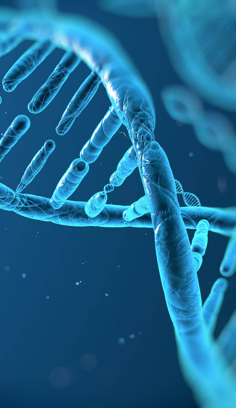 laboratoire reproduction