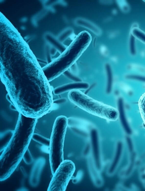 laboratoire reproduction