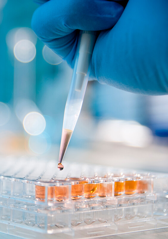 laboratoire reproduction